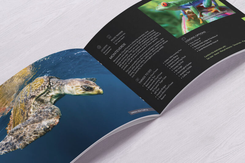 Brochure project