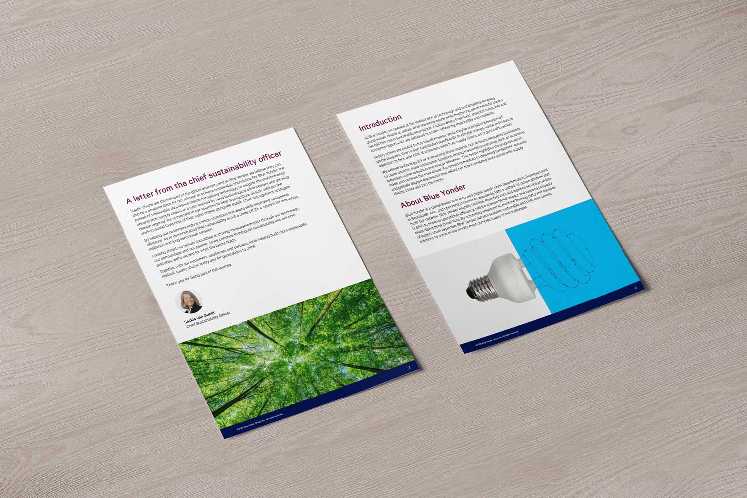 Brochure project